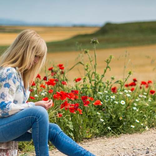 실업급여, 조건과 신청 방법 알아보기