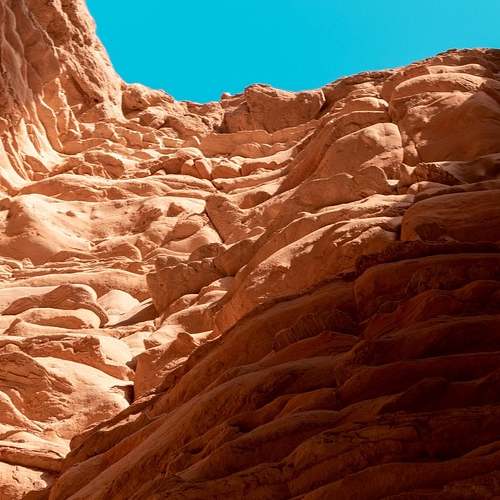 범죄의 민낯을 드러낸 영화, 야당의 모든 것