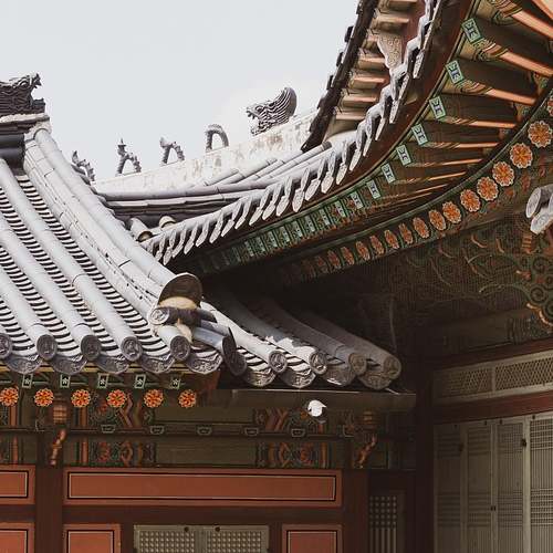 잊지 못할 순간, 뮤지컬 ‘다시, 동물원’의 매력에 빠지다