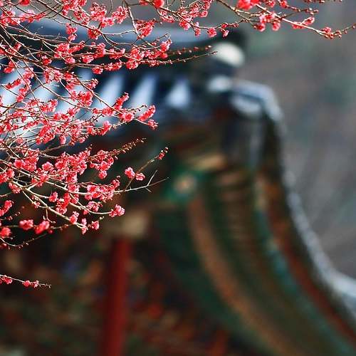 증여세 면제 한도액 변화: 1억에서 5억으로 상향, 신혼부부 위한 꿀팁 대공개! 증여세 면제 한도액 변화: 1억에서 5억으로 상향, 신혼부부 위한 꿀팁 대공개!