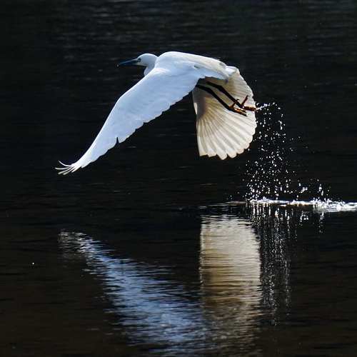 2025 민생회복 소비쿠폰 지급일과 소득상위 10% 기준, 무엇을 알아야 할까요? 2025 민생회복 소비쿠폰 지급일과 소득상위 10% 기준, 무엇을 알아야 할까요?