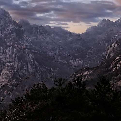 유정호의 현재와 변천사: 진실과 대중의 시선