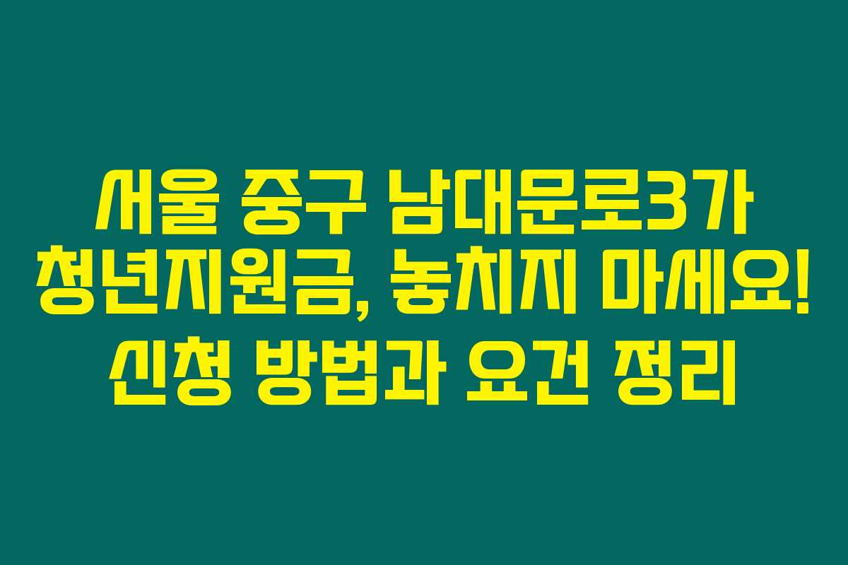 서울 중구 남대문로3가 청년지원금, 놓치지 마세요! 신청 방법과 요건 정리