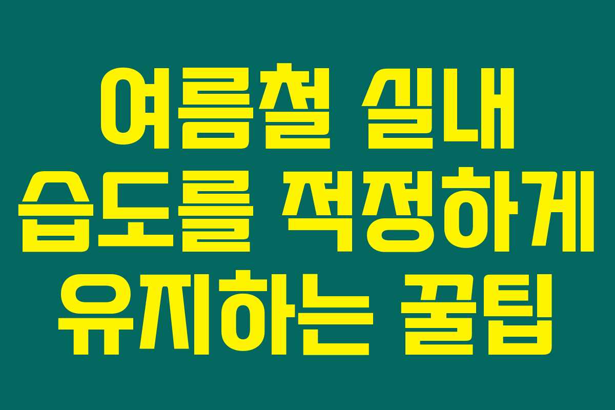 여름철 실내 습도를 적정하게 유지하는 꿀팁