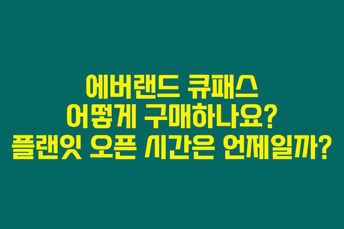에버랜드 큐패스 어떻게 구매하나요? 플랜잇 오픈 시간은 언제일까?