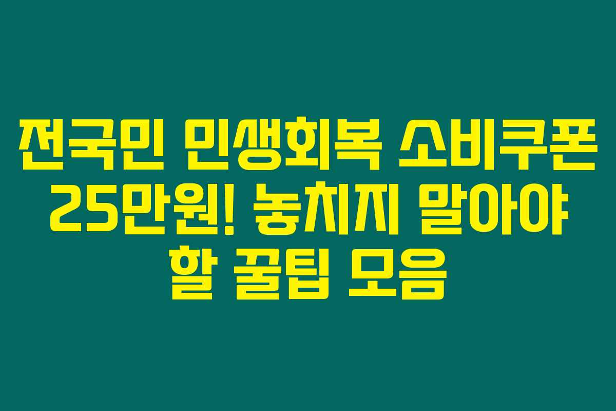 전국민 민생회복 소비쿠폰 25만원! 놓치지 말아야 할 꿀팁 모음 전국민 민생회복 소비쿠폰 25만원! 놓치지 말아야 할 꿀팁 모음