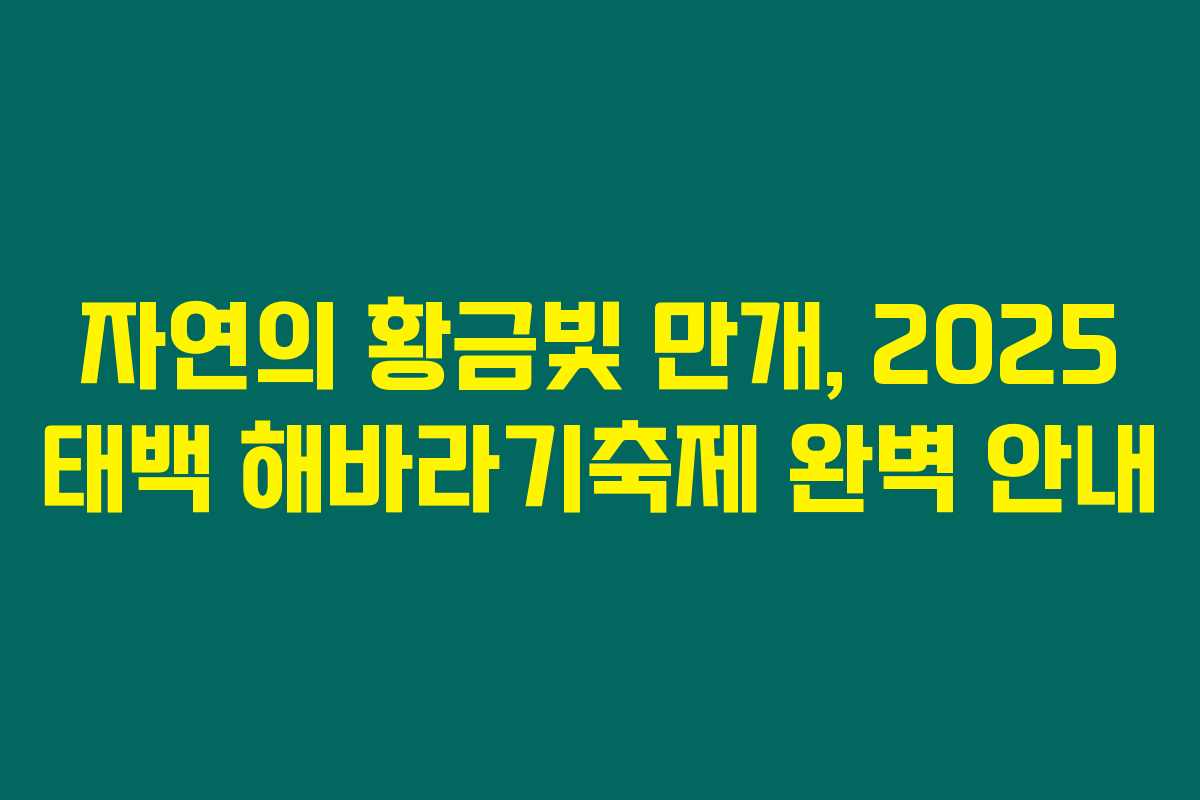자연의 황금빛 만개, 2025 태백 해바라기축제 완벽 안내