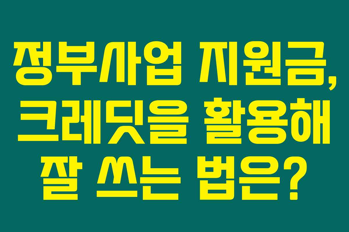 정부사업 지원금, 크레딧을 활용해 잘 쓰는 법은?