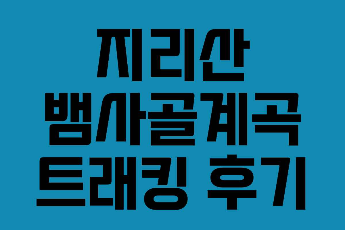 지리산 뱀사골계곡 트래킹 후기