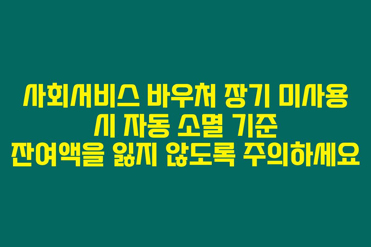 사회서비스 바우처 장기 미사용 시 자동 소멸 기준 잔여액을 잃지 않도록 주의하세요