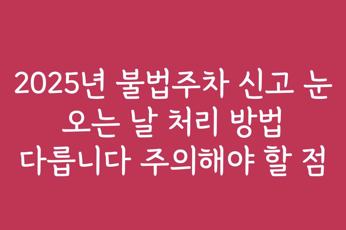 2025년 불법주차 신고 눈 오는 날 처리 방법 다릅니다 주의해야 할 점