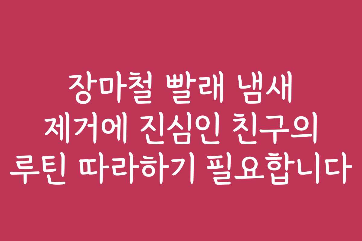 장마철 빨래 냄새 제거에 진심인 친구의 루틴 따라하기 필요합니다