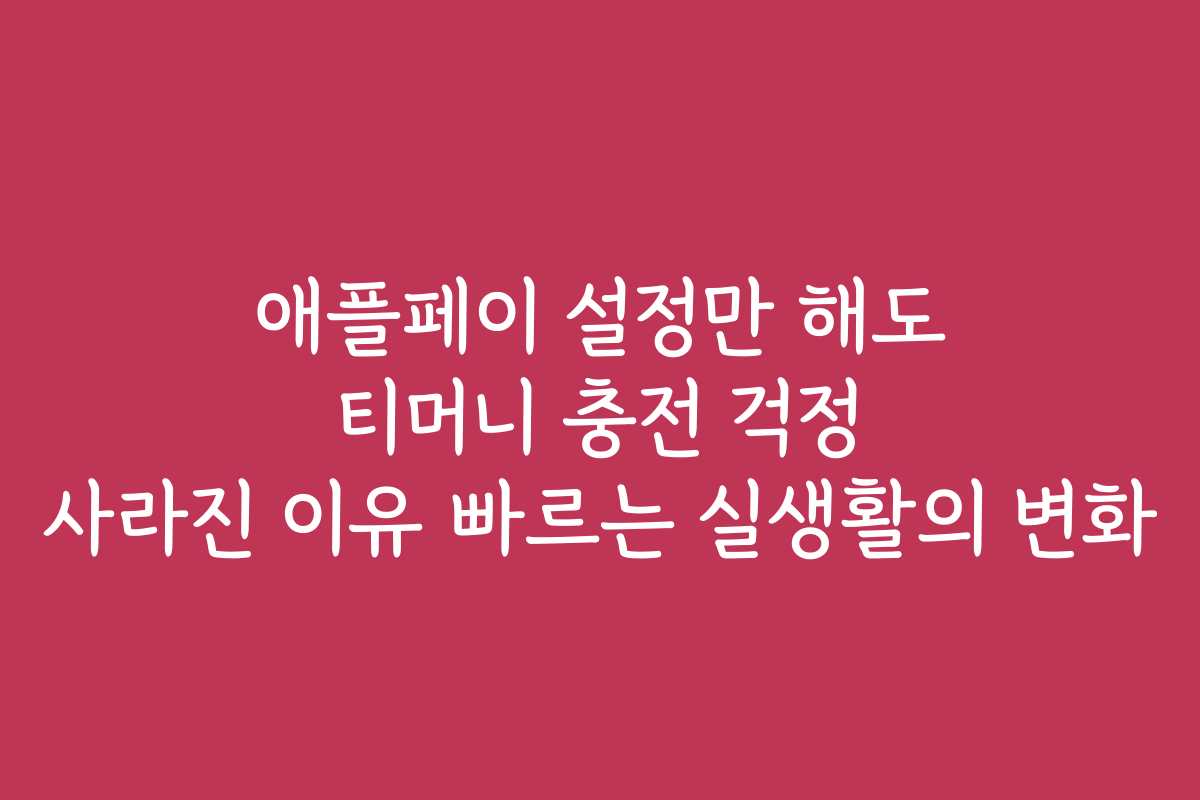 애플페이 설정만 해도 티머니 충전 걱정 사라진 이유 빠르는 실생활의 변화
