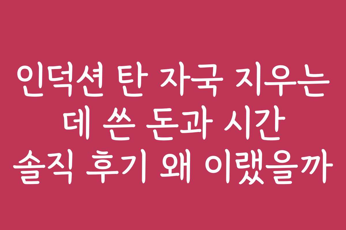 인덕션 탄 자국 지우는 데 쓴 돈과 시간 솔직 후기 왜 이랬을까