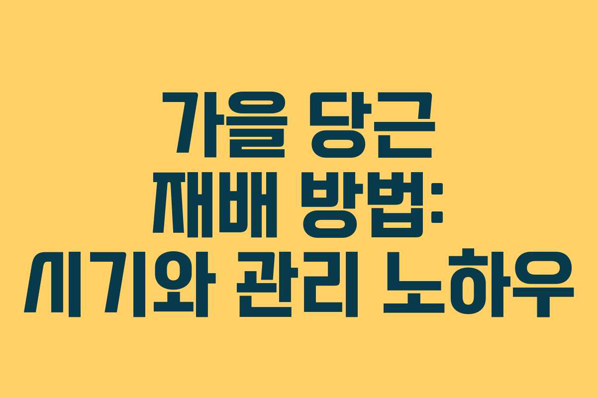 가을 당근 재배 방법: 시기와 관리 노하우