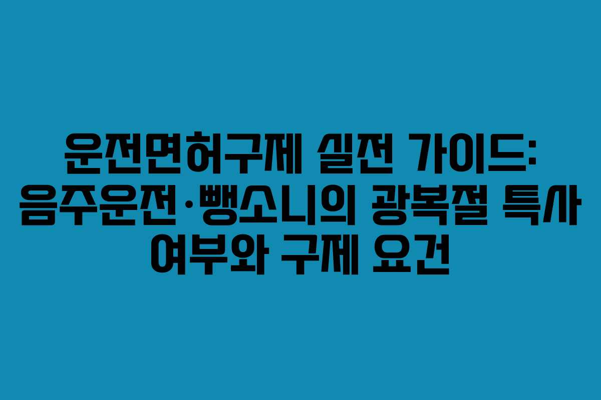 운전면허구제 실전 가이드: 음주운전·뺑소니의 광복절 특사 여부와 구제 요건 운전면허구제 실전 가이드: 음주운전·뺑소니의 광복절 특사 여부와 구제 요건