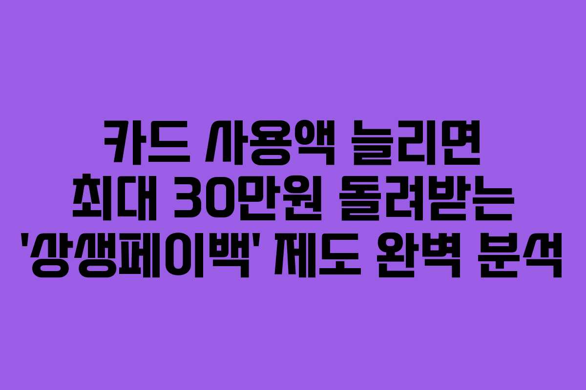 카드 사용액 늘리면 최대 30만원 돌려받는 ‘상생페이백’ 제도 완벽 분석