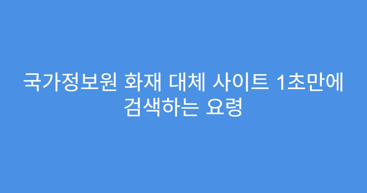 국가정보원 화재 대체 사이트 1초만에 검색하는 요령
