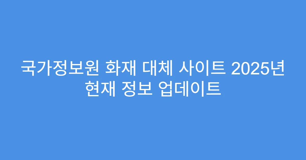 국가정보원 화재 대체 사이트 2025년 현재 정보 업데이트