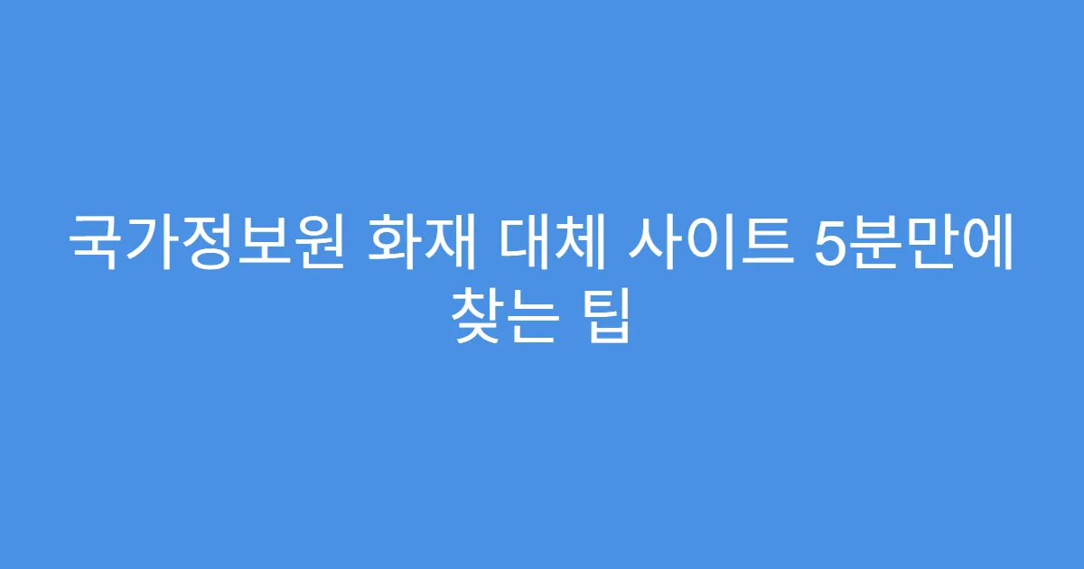 국가정보원 화재 대체 사이트 5분만에 찾는 팁