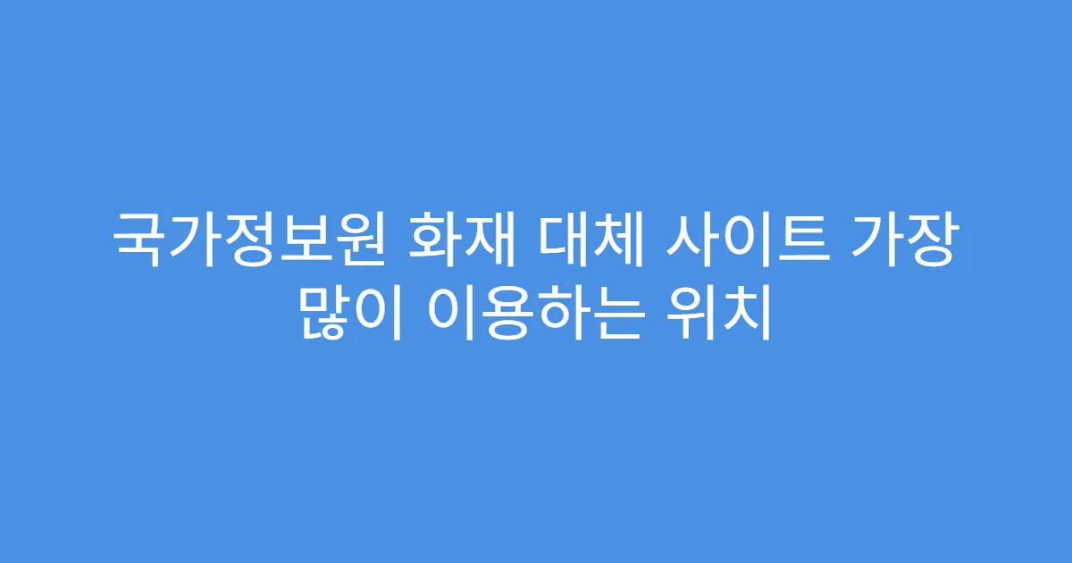 국가정보원 화재 대체 사이트 가장 많이 이용하는 위치