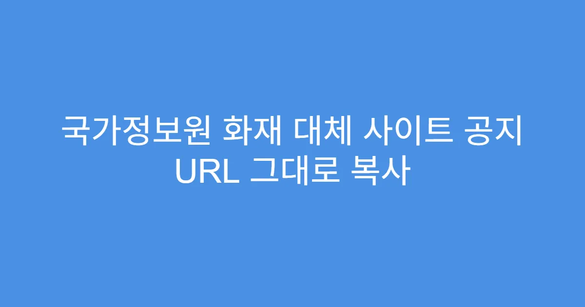 국가정보원 화재 대체 사이트 공지 URL 그대로 복사
