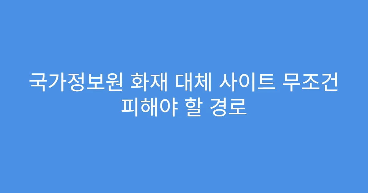 국가정보원 화재 대체 사이트 무조건 피해야 할 경로