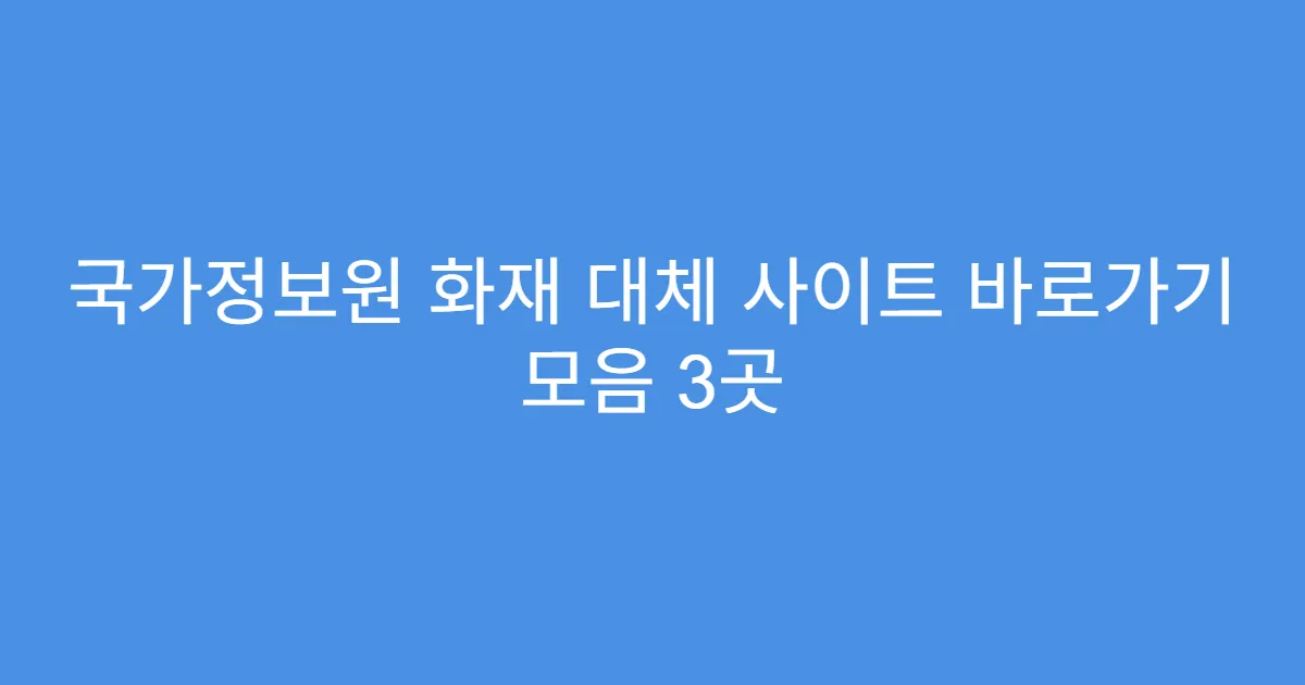 국가정보원 화재 대체 사이트 바로가기 모음 3곳