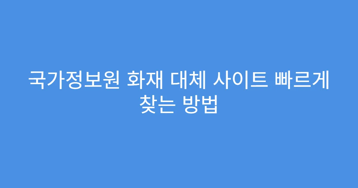 국가정보원 화재 대체 사이트 빠르게 찾는 방법