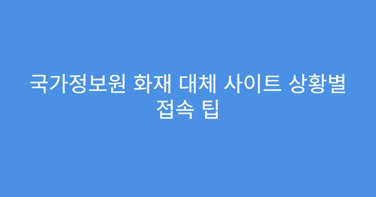 국가정보원 화재 대체 사이트 상황별 접속 팁