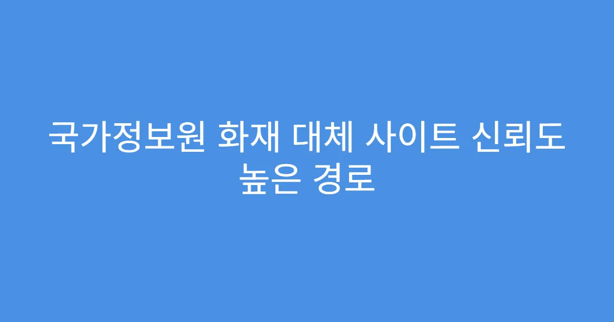국가정보원 화재 대체 사이트 신뢰도 높은 경로