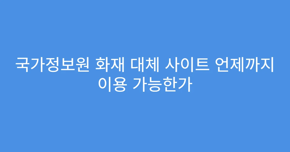 국가정보원 화재 대체 사이트 언제까지 이용 가능한가