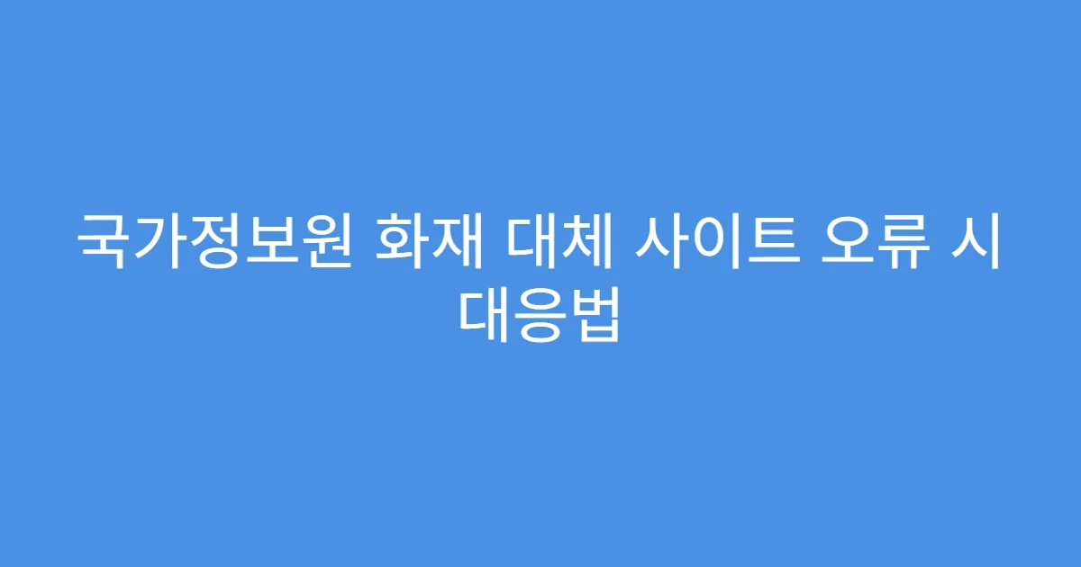 국가정보원 화재 대체 사이트 오류 시 대응법
