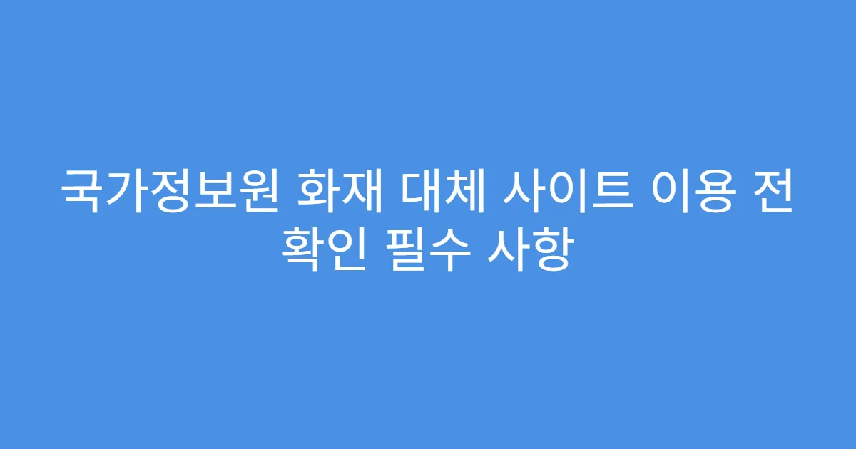 국가정보원 화재 대체 사이트 이용 전 확인 필수 사항