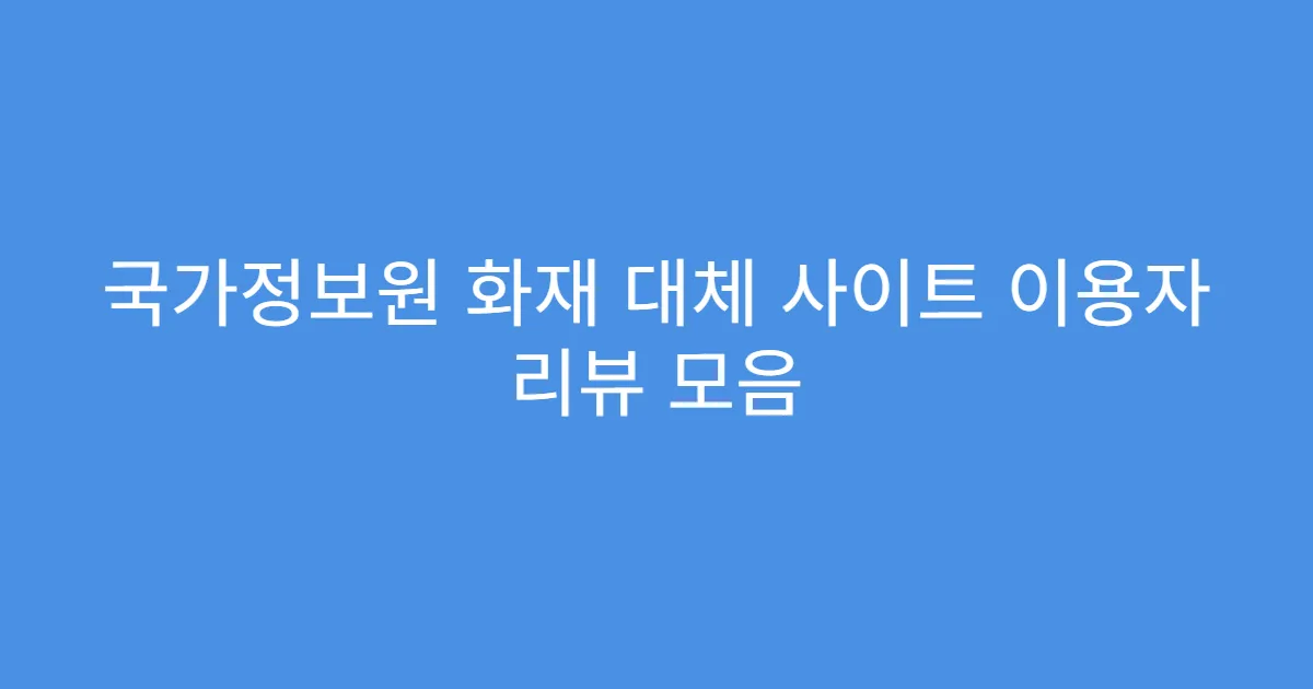 국가정보원 화재 대체 사이트 이용자 리뷰 모음