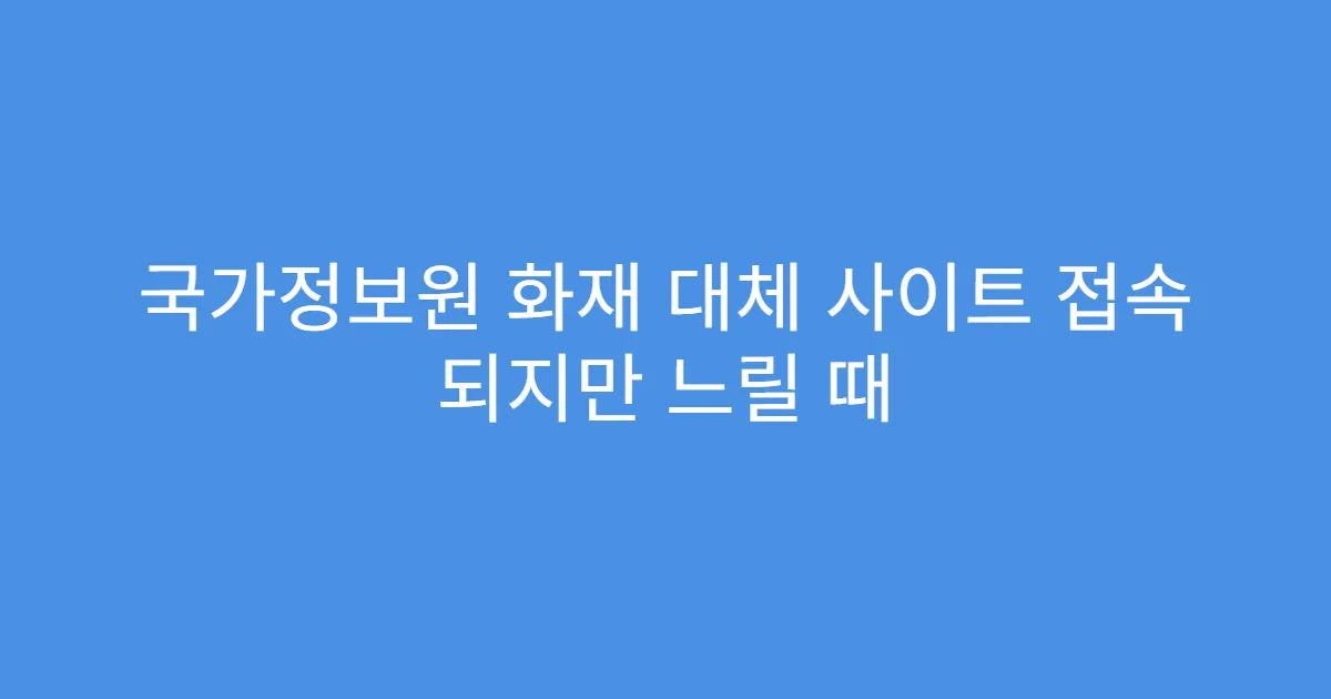 국가정보원 화재 대체 사이트 접속 되지만 느릴 때