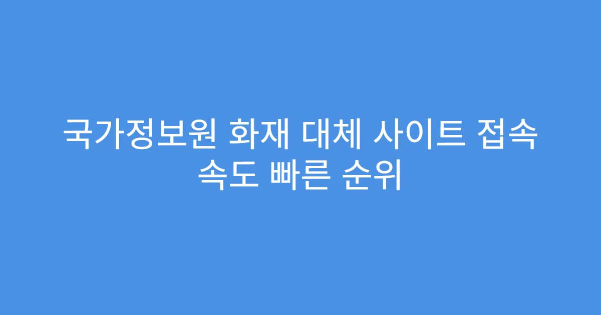 국가정보원 화재 대체 사이트 접속 속도 빠른 순위