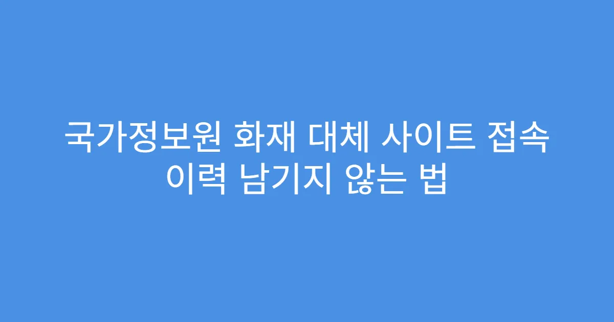 국가정보원 화재 대체 사이트 접속 이력 남기지 않는 법