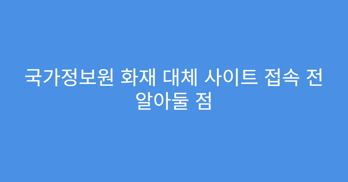 국가정보원 화재 대체 사이트 접속 전 알아둘 점