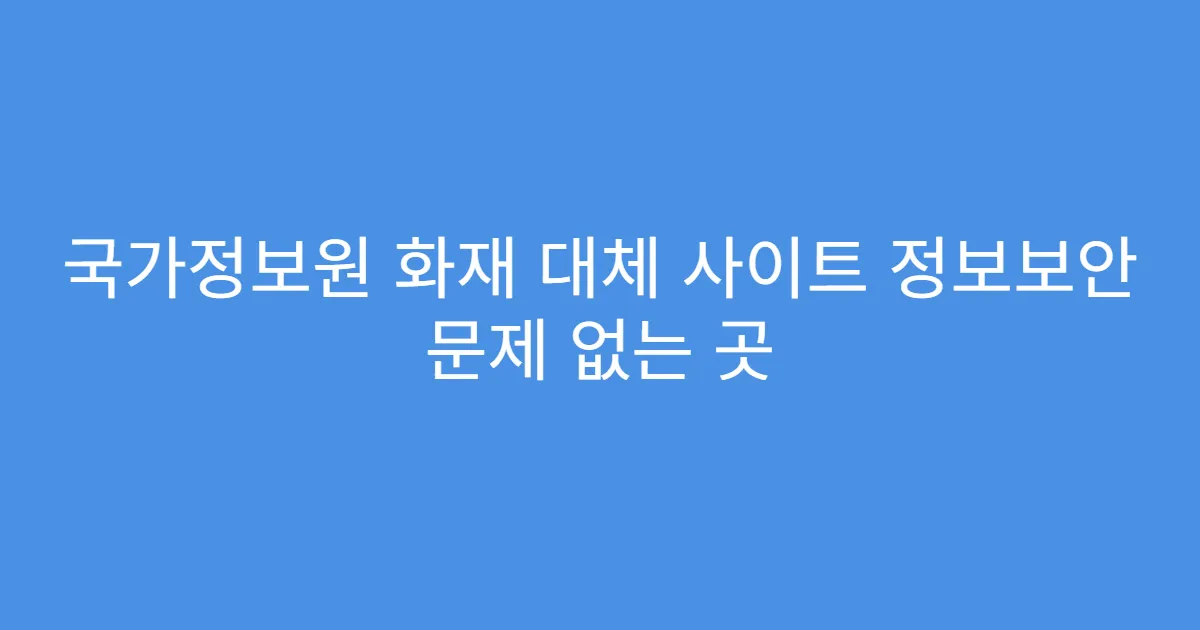 국가정보원 화재 대체 사이트 정보보안 문제 없는 곳