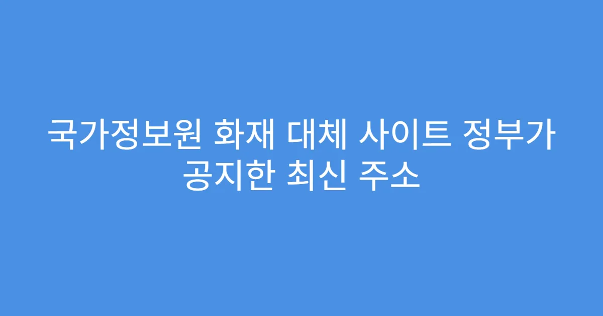 국가정보원 화재 대체 사이트 정부가 공지한 최신 주소