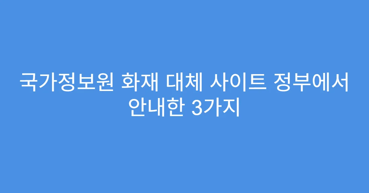 국가정보원 화재 대체 사이트 정부에서 안내한 3가지