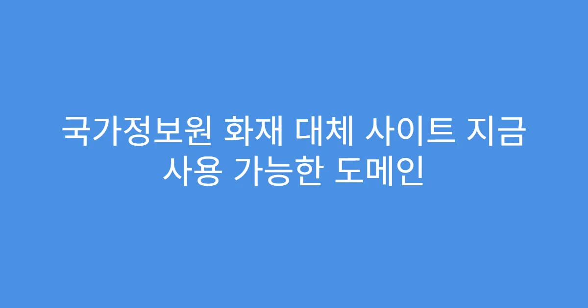 국가정보원 화재 대체 사이트 지금 사용 가능한 도메인