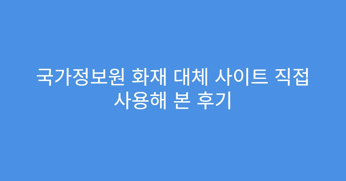 국가정보원 화재 대체 사이트 직접 사용해 본 후기