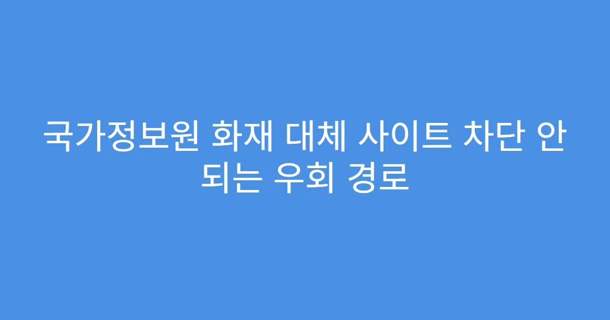 국가정보원 화재 대체 사이트 차단 안 되는 우회 경로