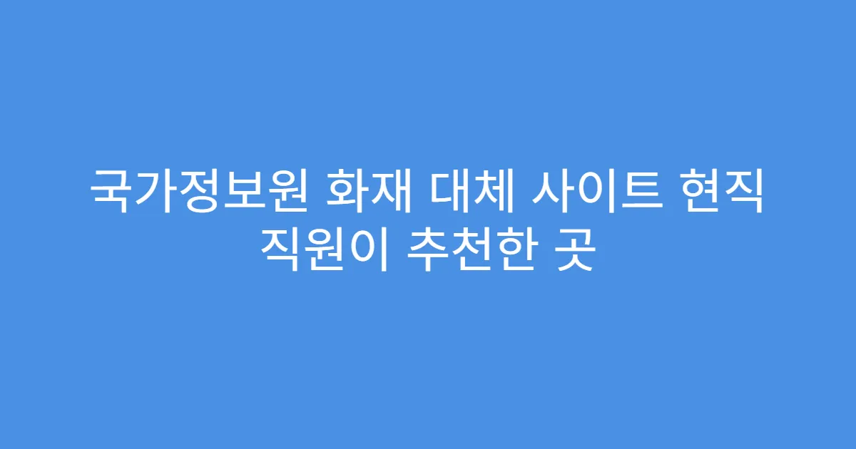 국가정보원 화재 대체 사이트 현직 직원이 추천한 곳