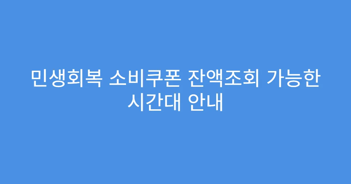 민생회복 소비쿠폰 잔액조회 가능한 시간대 안내