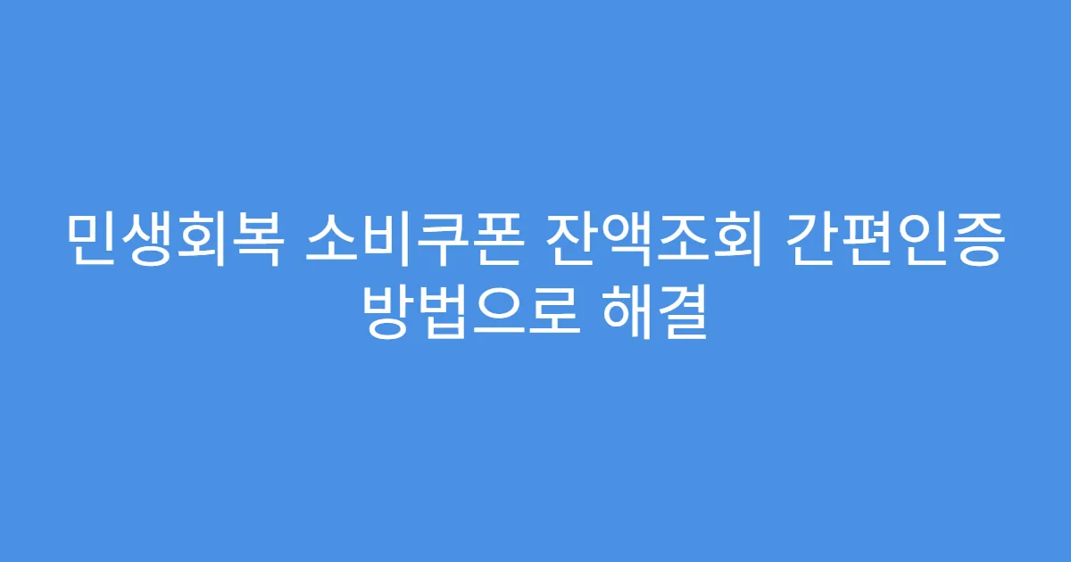 민생회복 소비쿠폰 잔액조회 간편인증 방법으로 해결