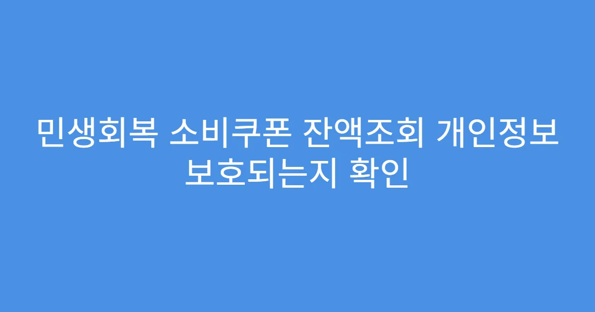 민생회복 소비쿠폰 잔액조회 개인정보 보호되는지 확인