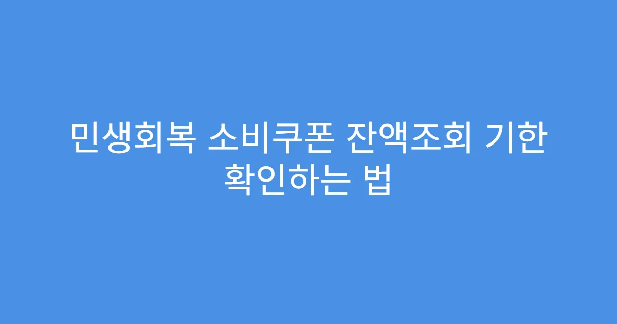 민생회복 소비쿠폰 잔액조회 기한 확인하는 법